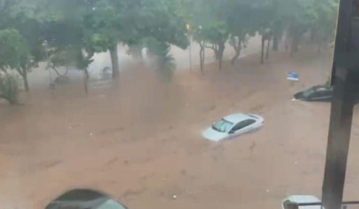 WhatsApp Image 2025-11-24 at 08.12.00