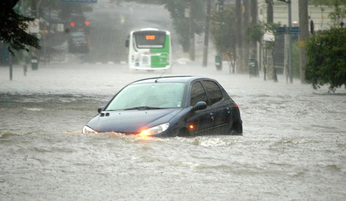 WhatsApp Image 2025-11-24 at 11.19.56