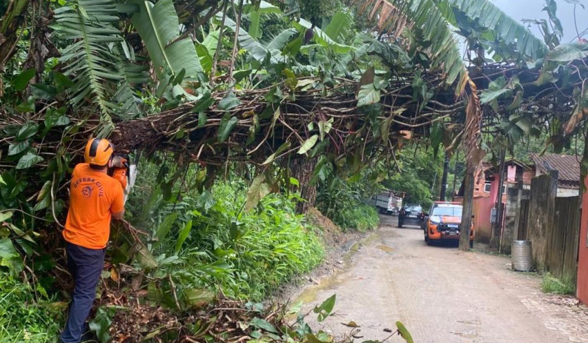 WhatsApp Image 2025-11-24 at 17.17.07