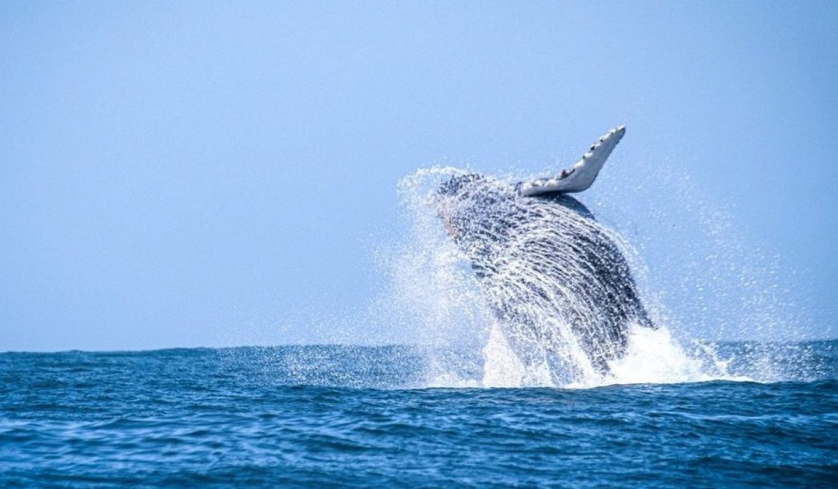 WhatsApp Image 2025-11-24 at 17.21.44