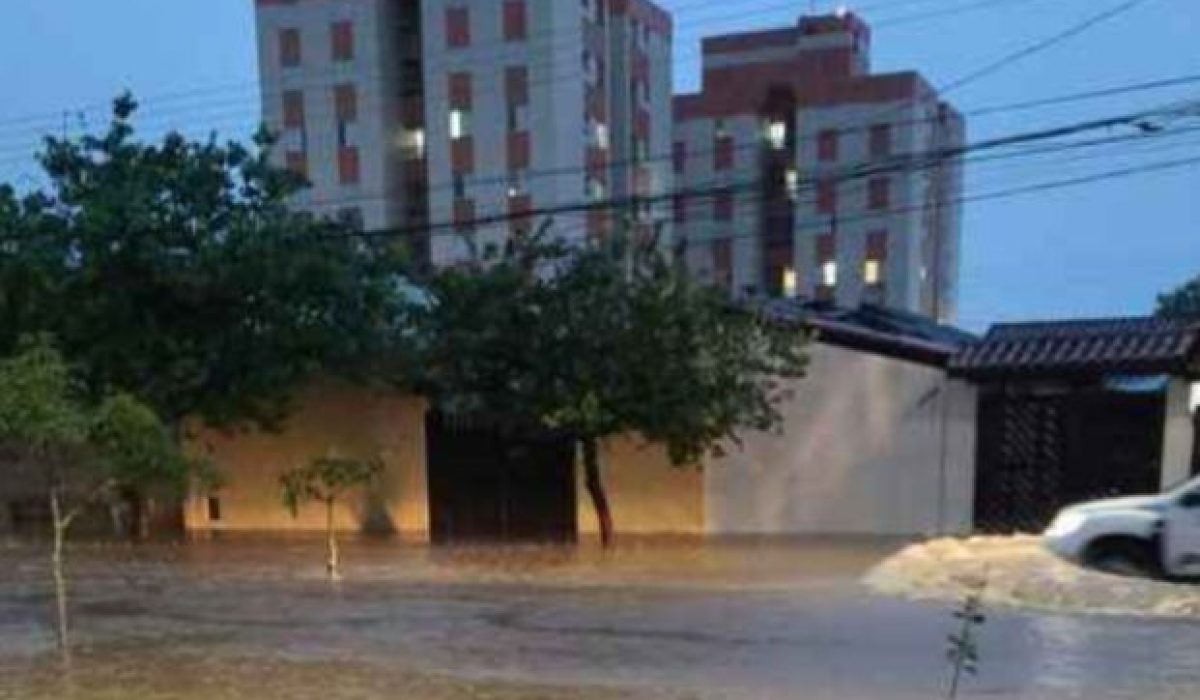 WhatsApp Image 2025-11-25 at 08.12.24