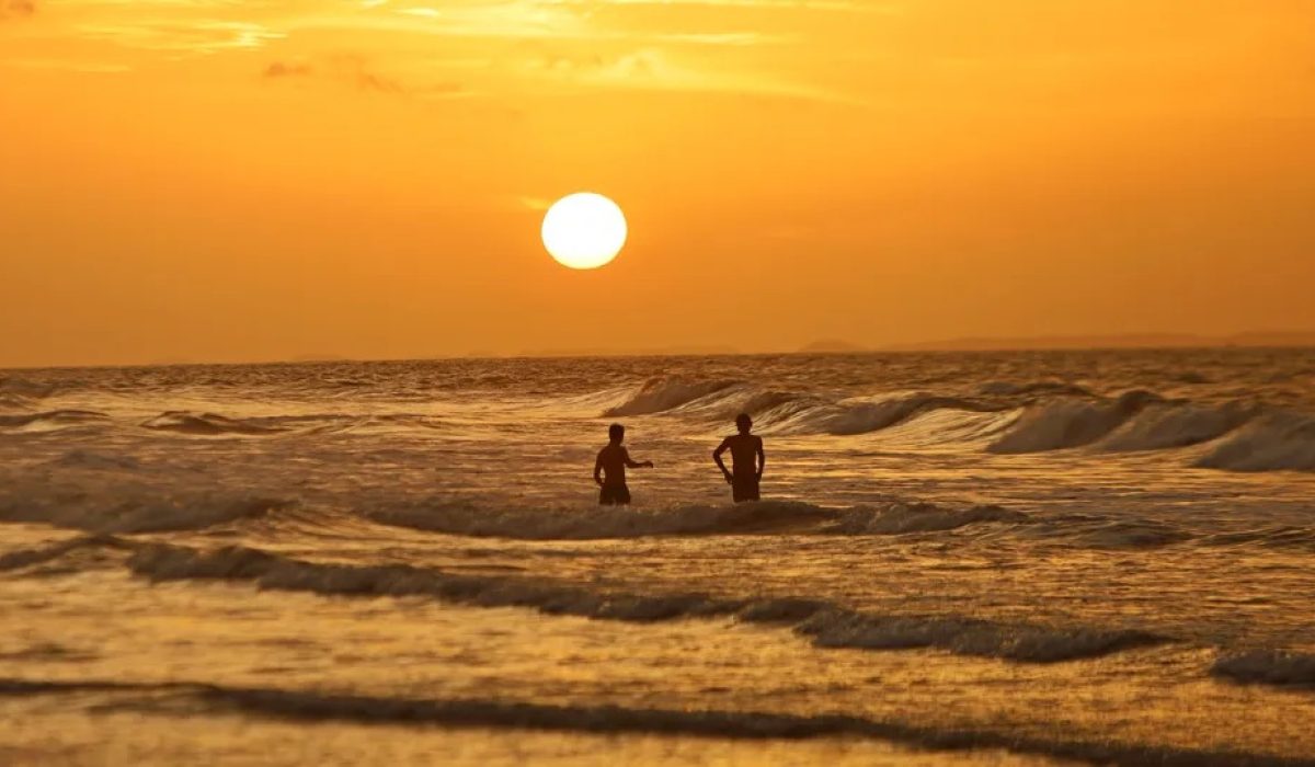 WhatsApp Image 2025-11-28 at 17.33.40