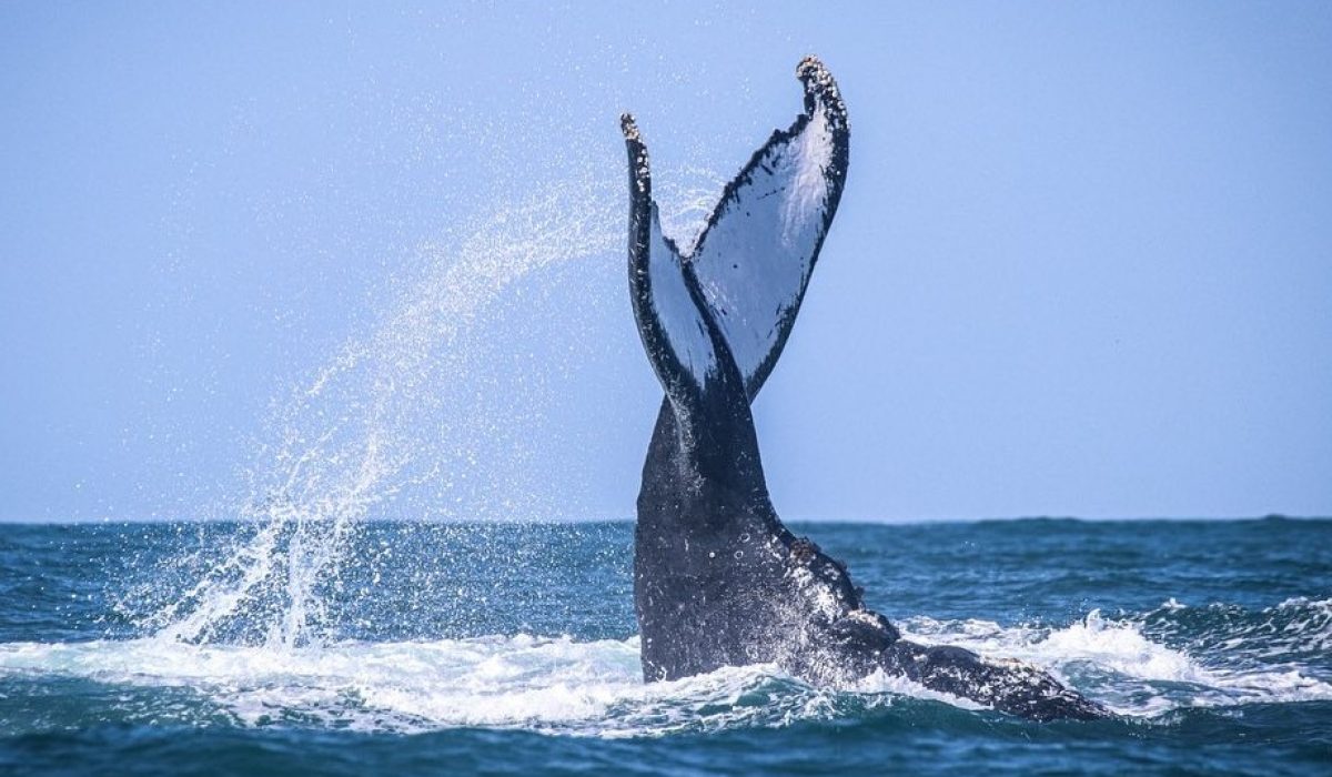 WhatsApp Image 2025-12-01 at 17.38.16