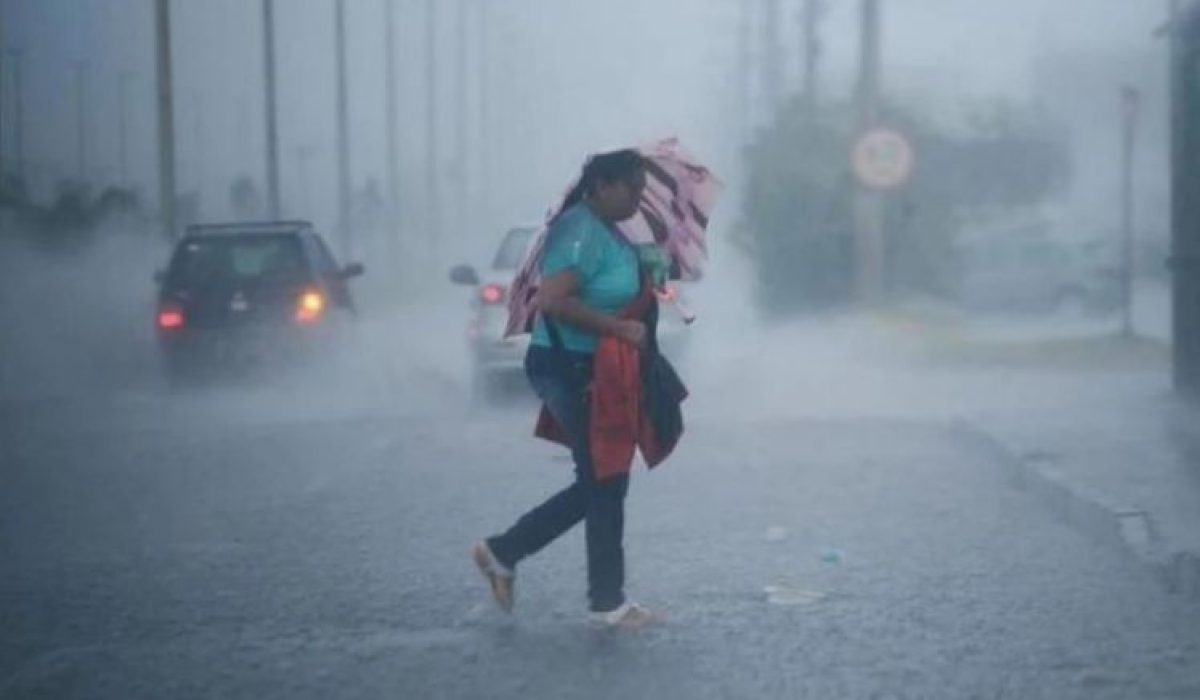 WhatsApp Image 2025-12-02 at 08.42.12