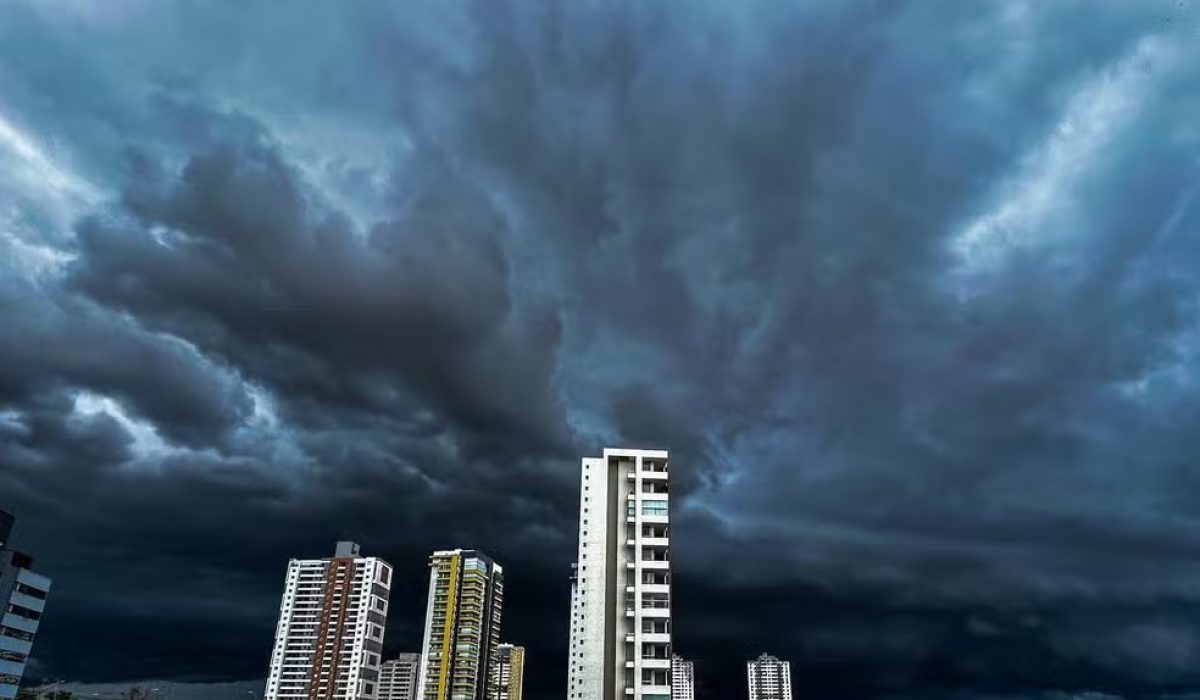 WhatsApp Image 2025-12-03 at 11.01.39