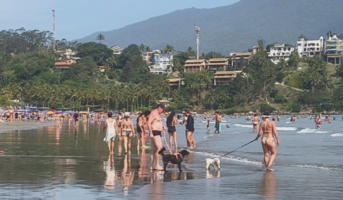 WhatsApp Image 2025-12-03 at 17.01.43