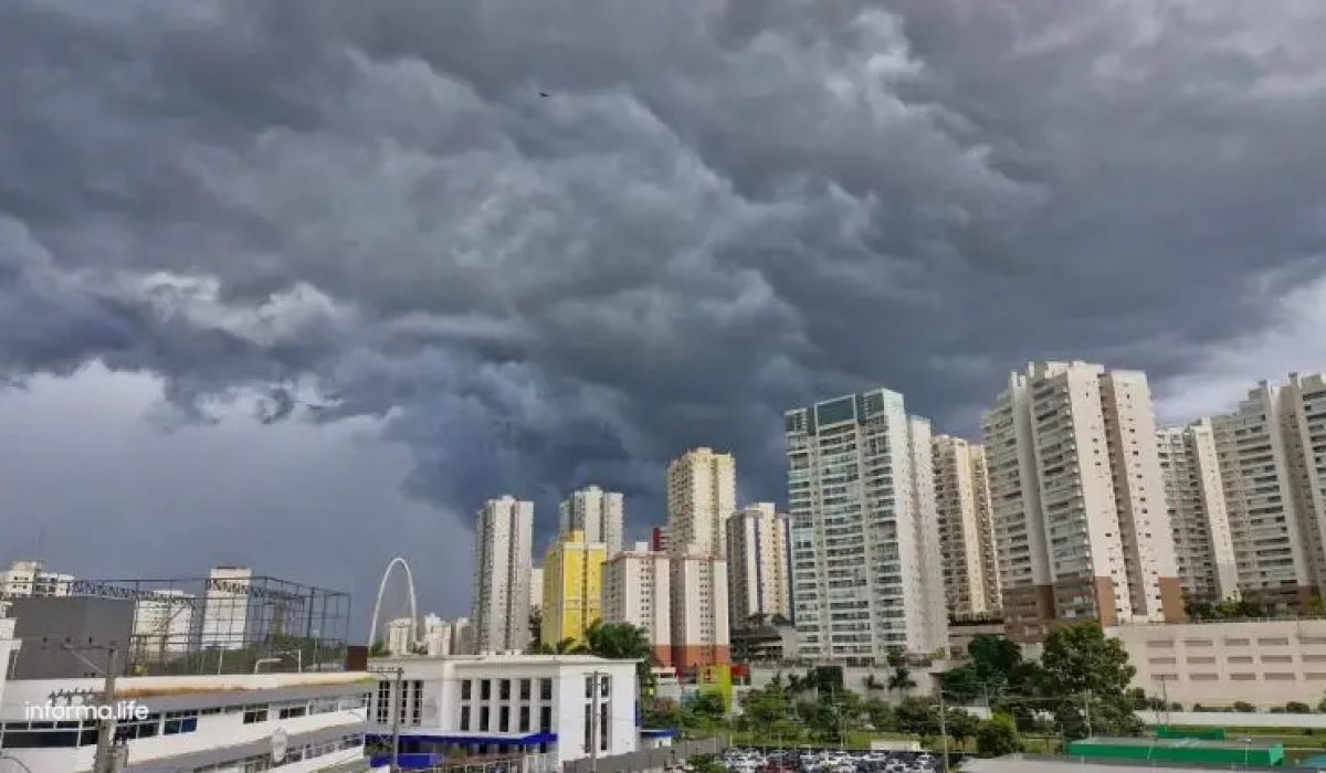 WhatsApp Image 2025-12-08 at 14.20.09