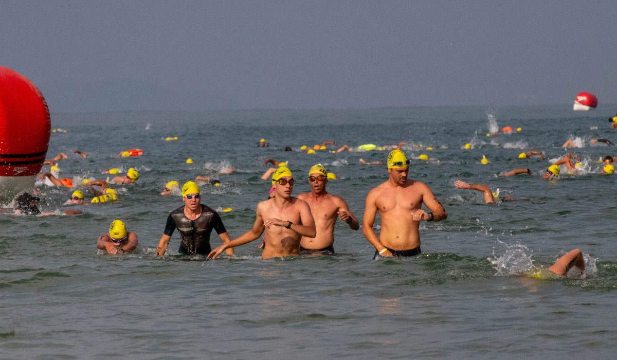 WhatsApp Image 2025-12-08 at 16.15.13