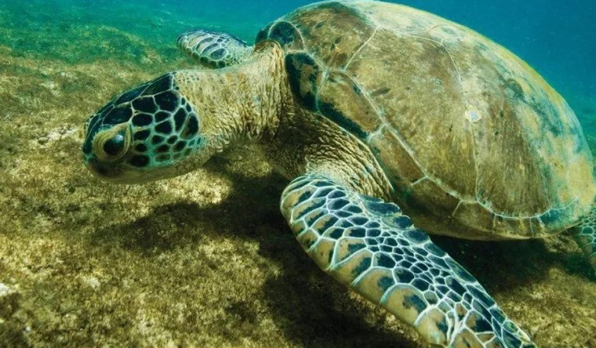 WhatsApp Image 2025-12-08 at 16.38.25