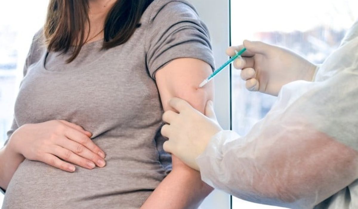 WhatsApp Image 2025-12-15 at 16.49.04