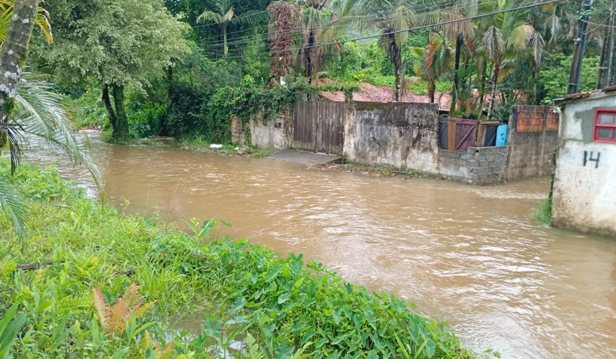 WhatsApp Image 2025-12-17 at 09.47.16