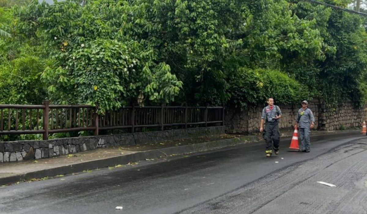 WhatsApp Image 2025-12-17 at 16.35.31