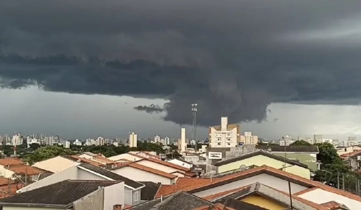 WhatsApp Image 2025-12-19 at 10.00.36