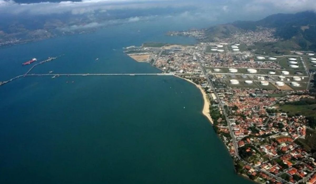 WhatsApp Image 2025-12-19 at 16.48.50