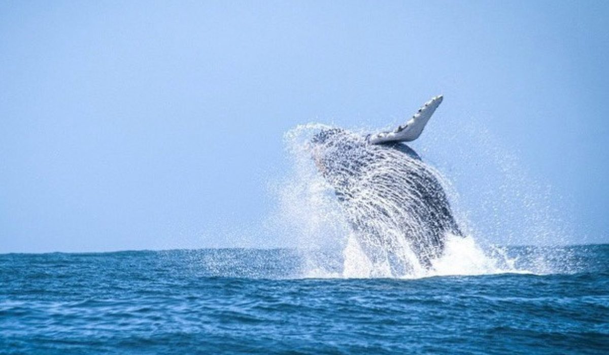 WhatsApp Image 2025-12-22 at 17.30.19