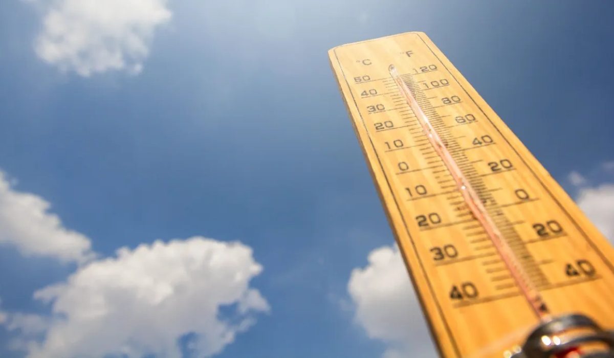 WhatsApp Image 2025-12-26 at 10.54.27