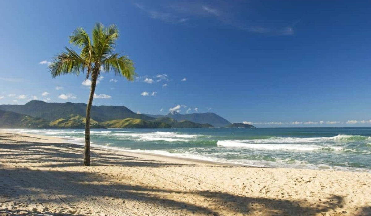 WhatsApp Image 2025-12-26 at 11.52.37