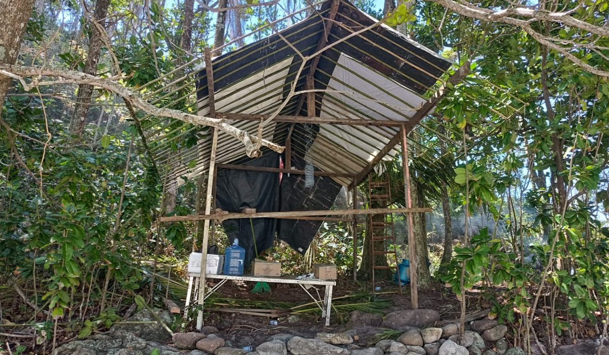 WhatsApp Image 2025-12-30 at 16.55.17