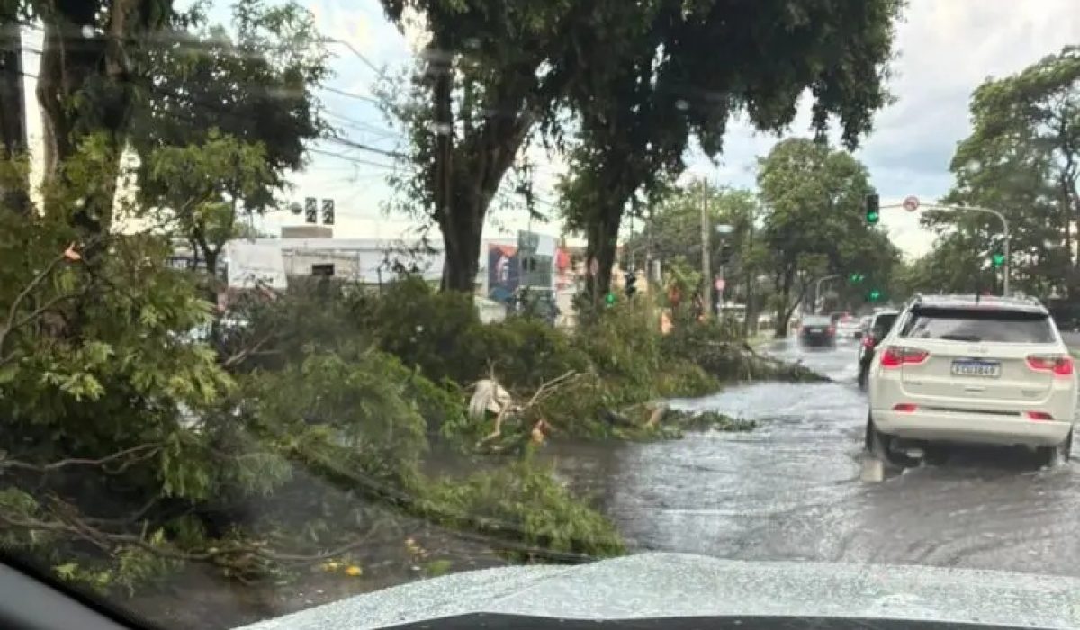 WhatsApp Image 2025-12-31 at 10.58.55