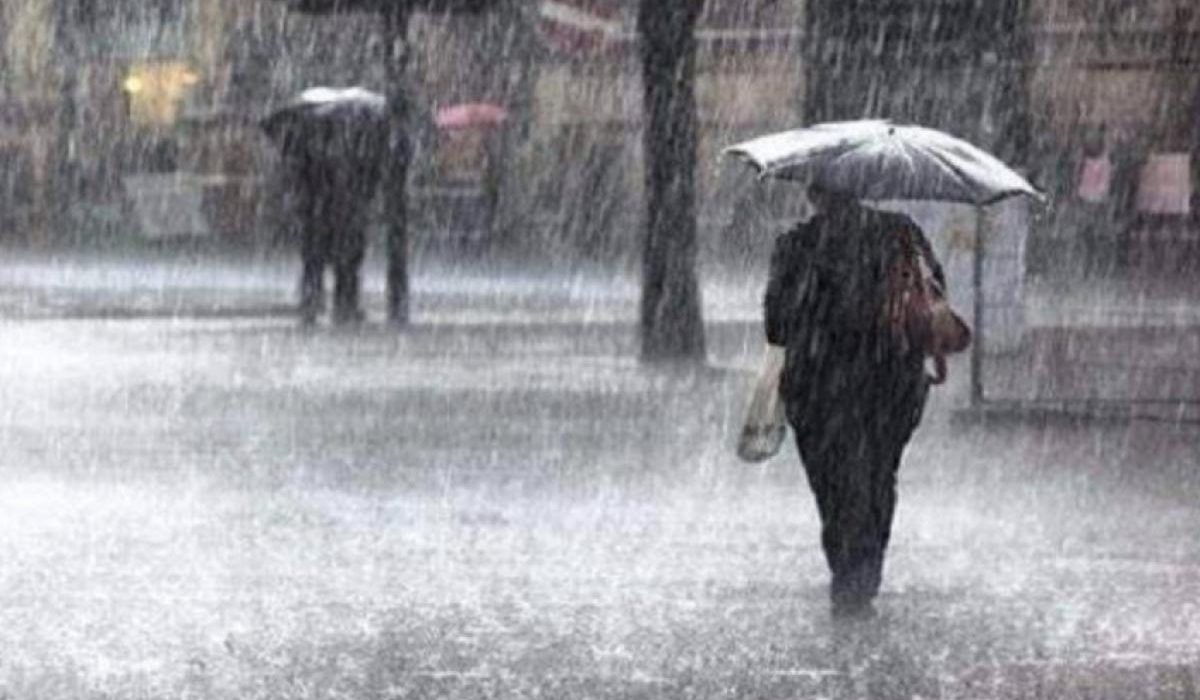 WhatsApp Image 2026-01-02 at 10.47.42