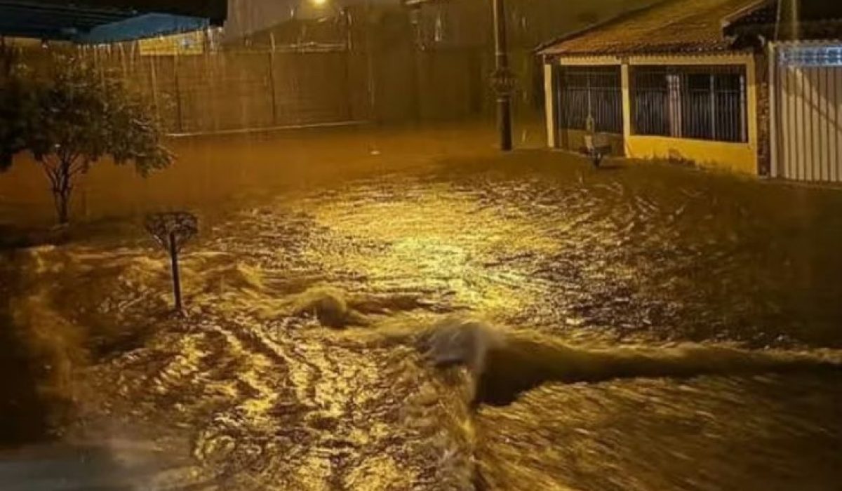 WhatsApp Image 2026-01-05 at 12.28.52