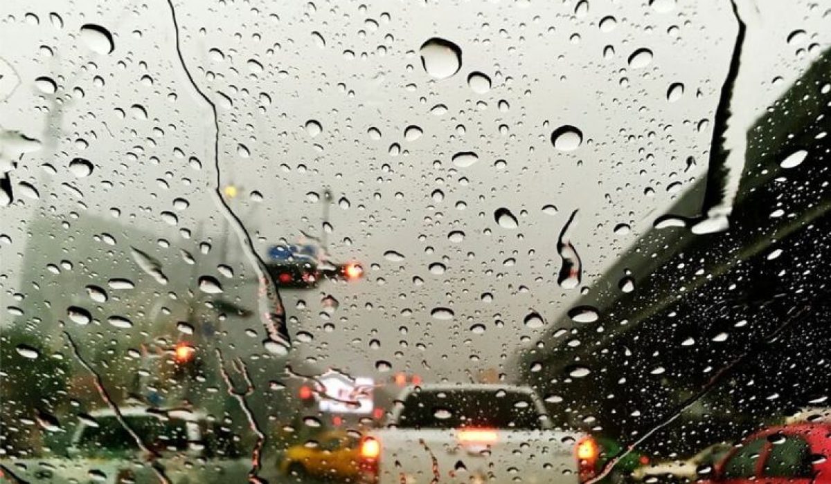 WhatsApp Image 2026-01-09 at 09.51.59