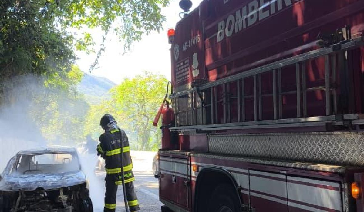 WhatsApp Image 2026-01-12 at 12.44.56