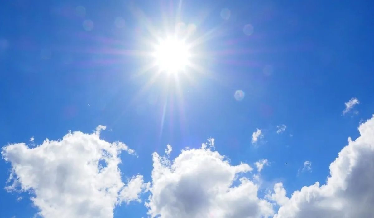 WhatsApp Image 2026-01-12 at 16.36.46