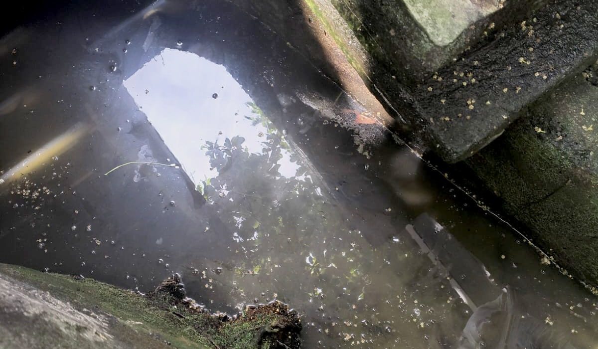 WhatsApp Image 2026-01-13 at 18.14.52