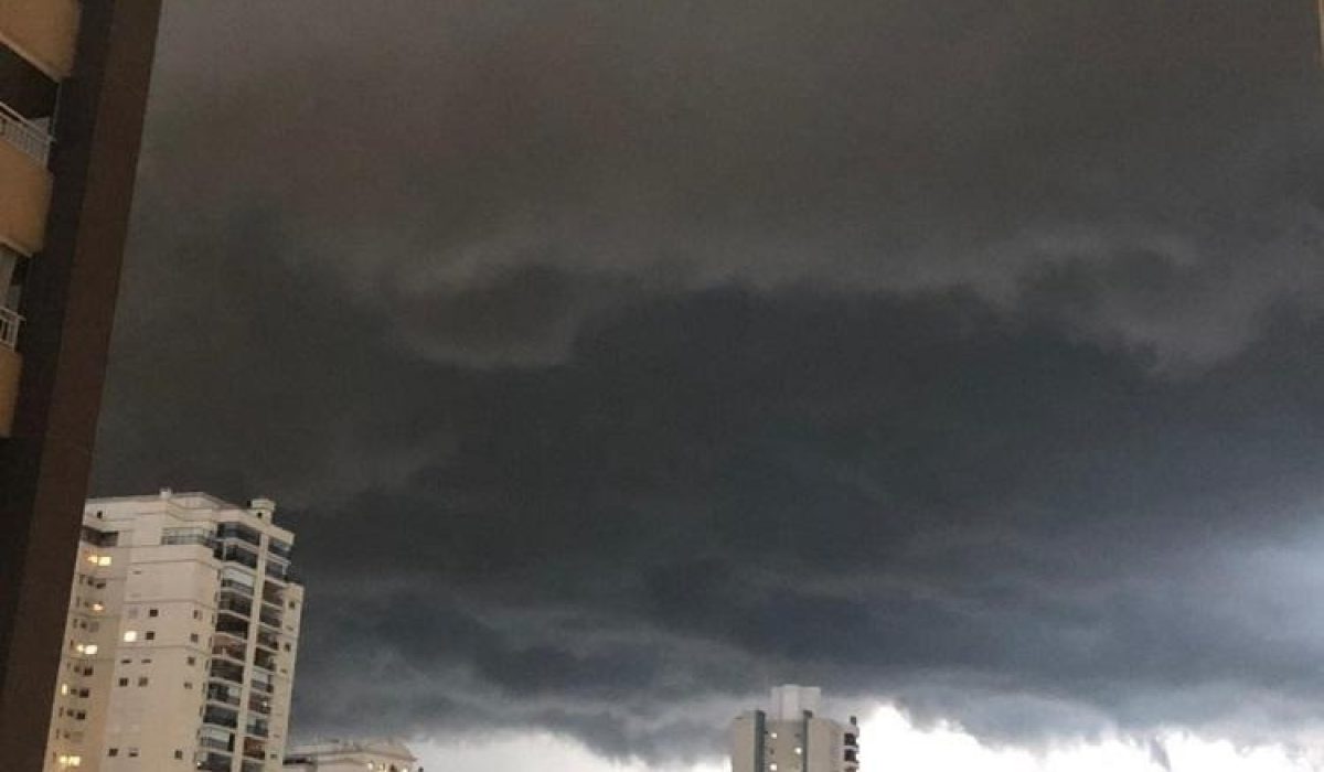 WhatsApp Image 2026-01-15 at 15.22.55