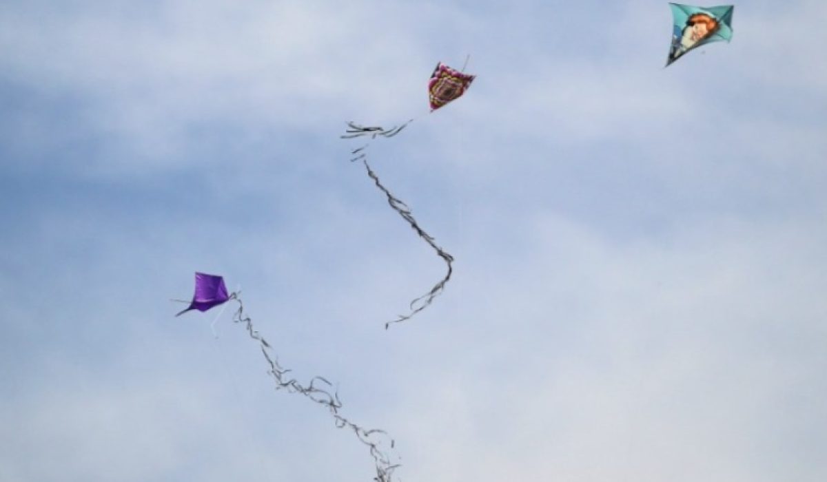 WhatsApp Image 2026-01-16 at 12.41.31