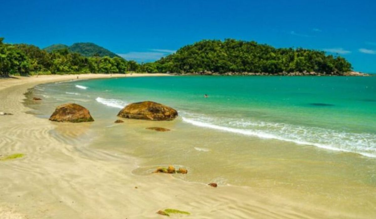 WhatsApp Image 2026-01-19 at 12.14.23