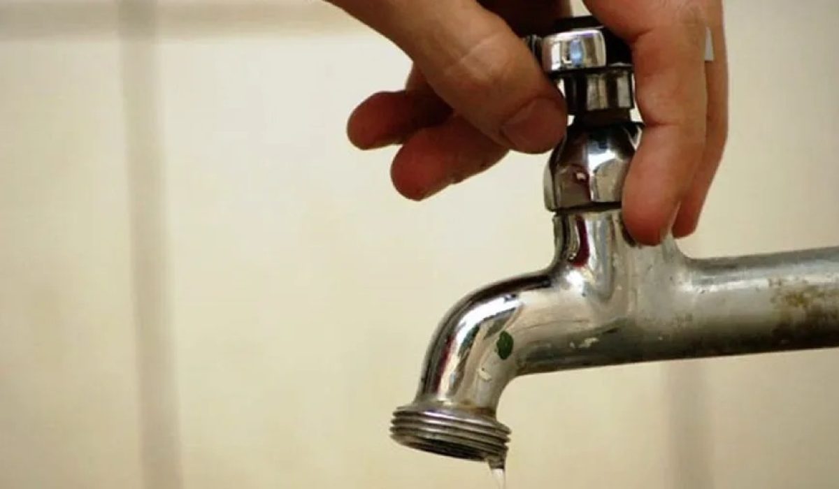 WhatsApp Image 2026-01-20 at 13.13.15