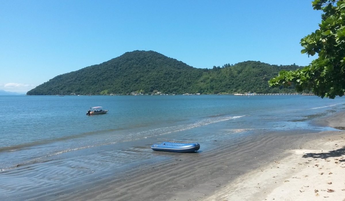 WhatsApp Image 2026-01-22 at 13.11.32