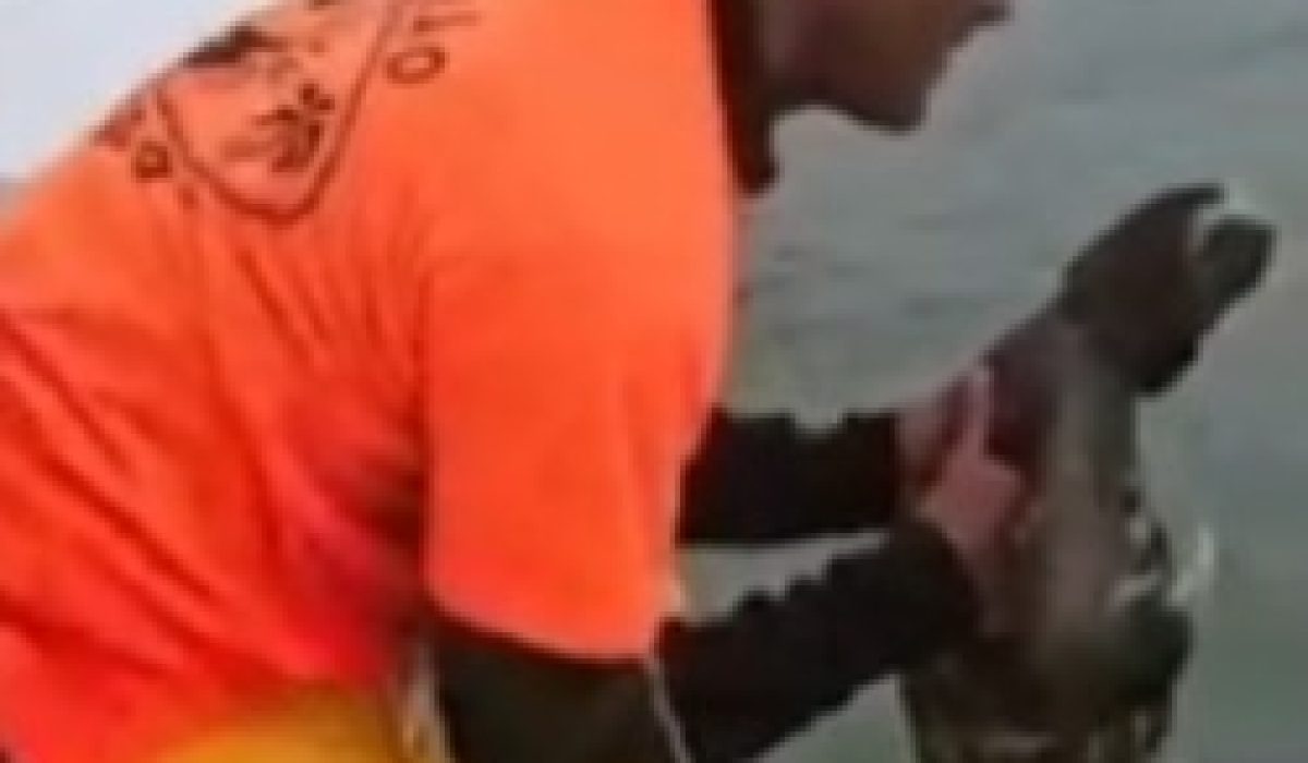 WhatsApp Image 2026-01-23 at 14.26.41