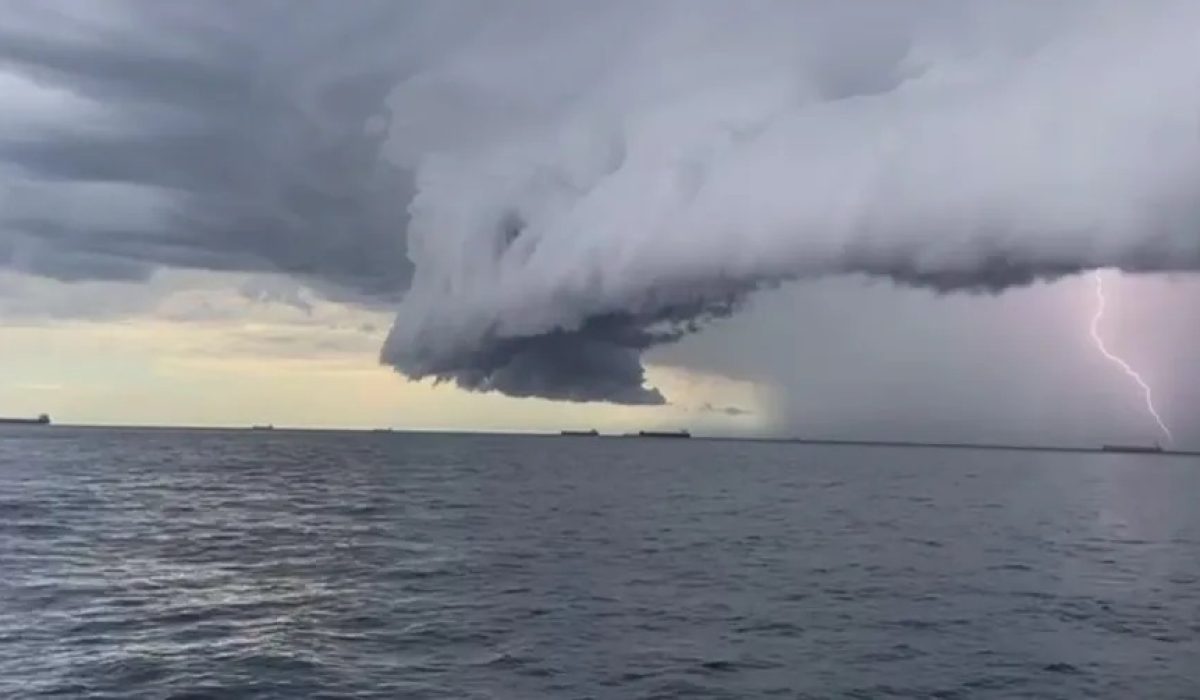 WhatsApp Image 2026-01-23 at 17.48.53