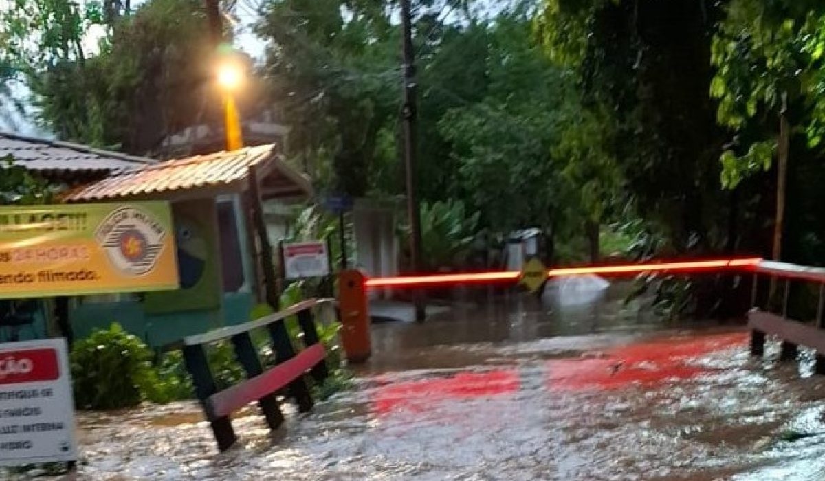 WhatsApp Image 2026-01-25 at 19.56.14