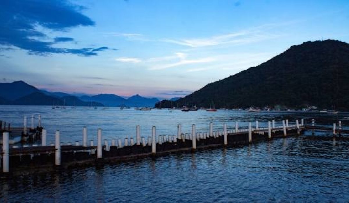 WhatsApp Image 2026-01-29 at 17.55.14