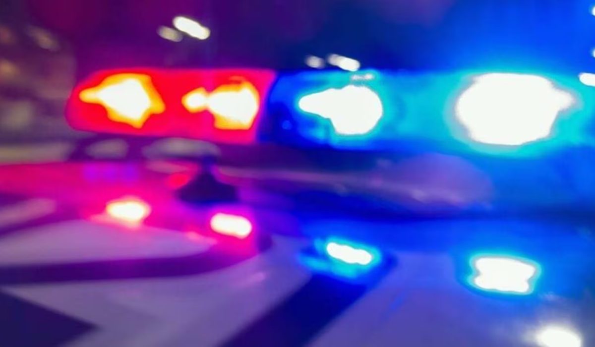 WhatsApp Image 2026-01-30 at 13.33.40