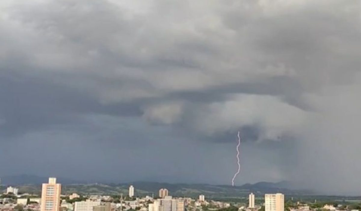 WhatsApp Image 2026-02-02 at 08.37.23