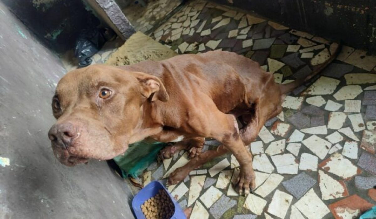 WhatsApp Image 2026-02-04 at 12.28.20