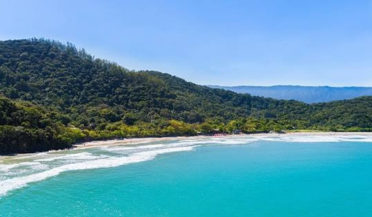 WhatsApp Image 2026-02-05 at 17.39.55