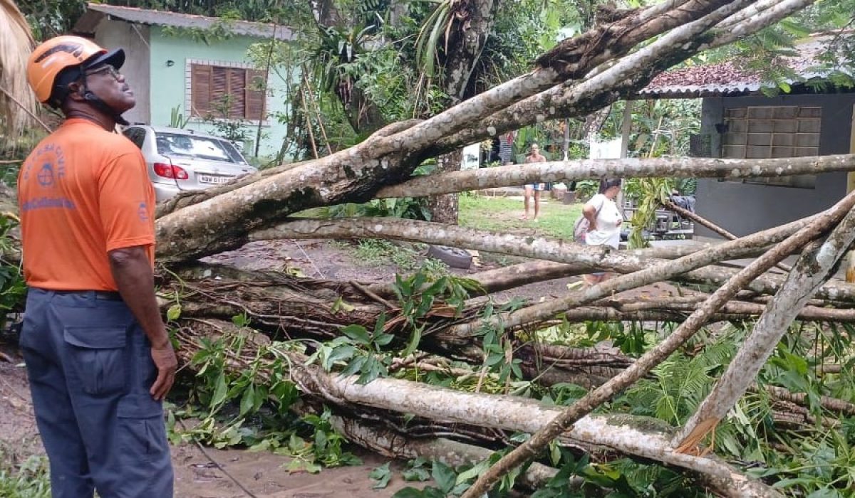 WhatsApp Image 2026-02-08 at 15.22.01