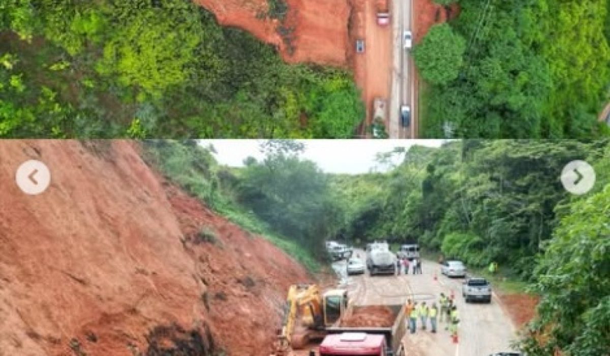 WhatsApp Image 2026-02-10 at 10.04.54