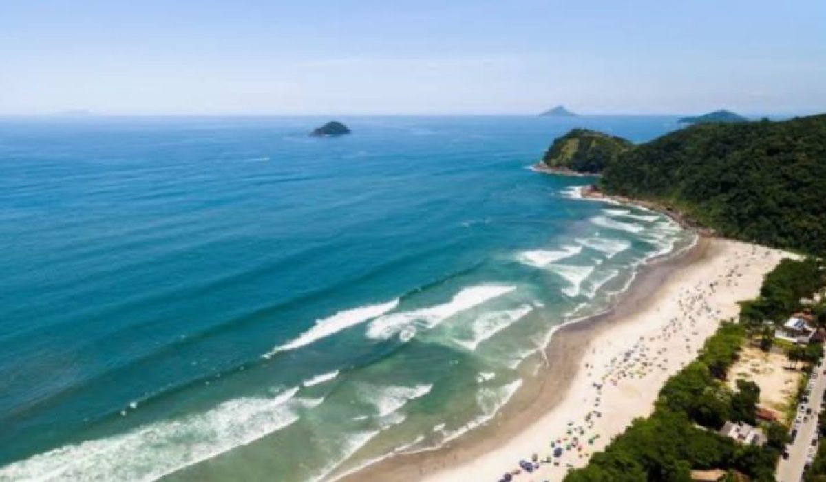 WhatsApp Image 2026-02-11 at 09.14.01