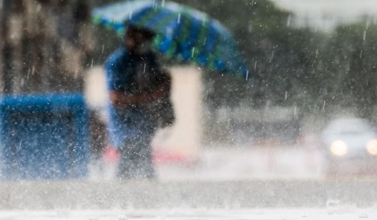 WhatsApp Image 2026-02-12 at 14.05.09