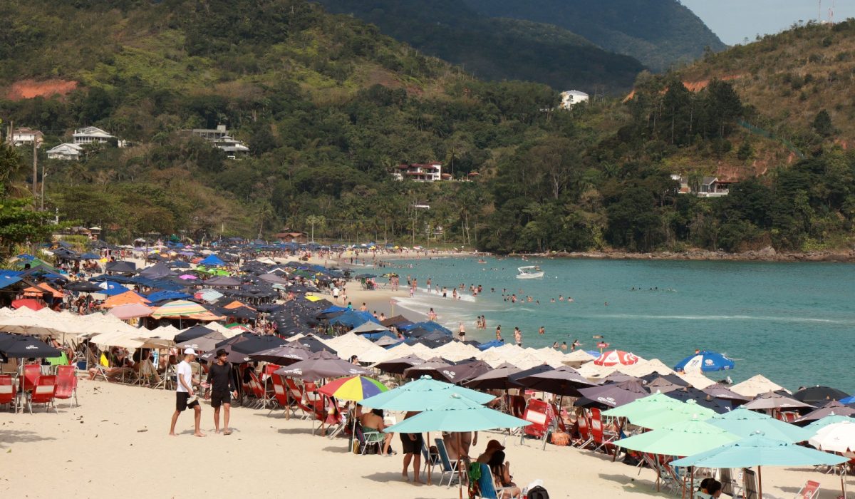 WhatsApp Image 2026-02-12 at 17.08.13