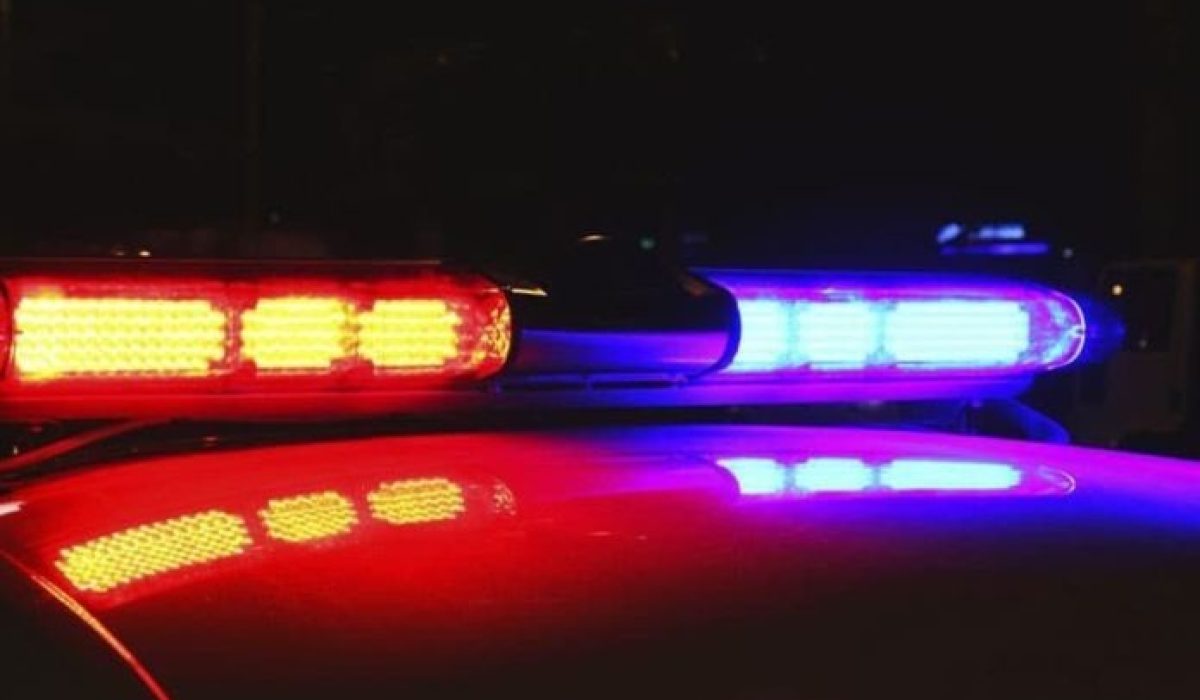 WhatsApp Image 2026-02-13 at 12.19.43