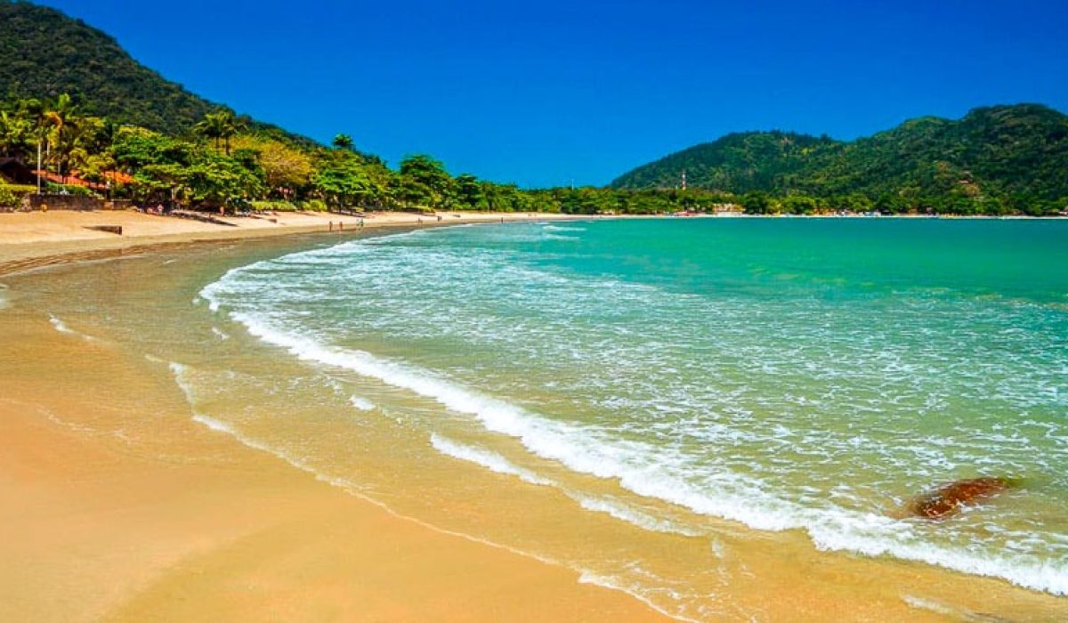 WhatsApp Image 2026-02-13 at 17.25.16