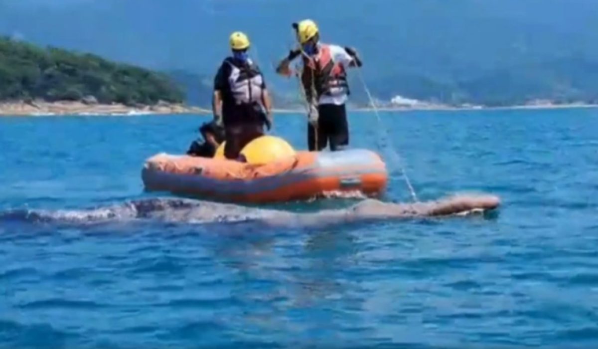 WhatsApp Image 2026-02-18 at 17.58.29